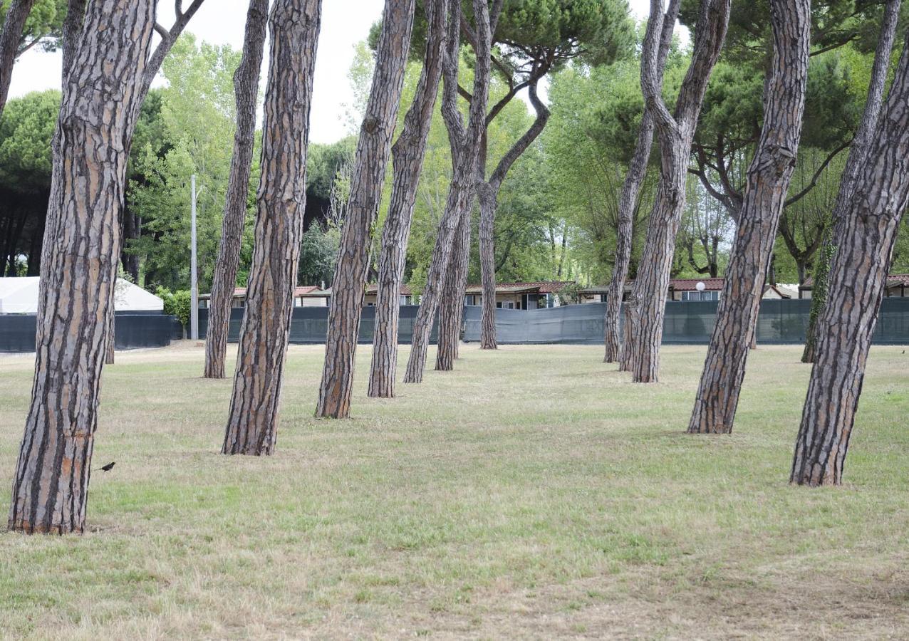 Hotel Casa Per Ferie Il Pioppo à Marina di Massa Extérieur photo